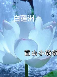 白莲圣母